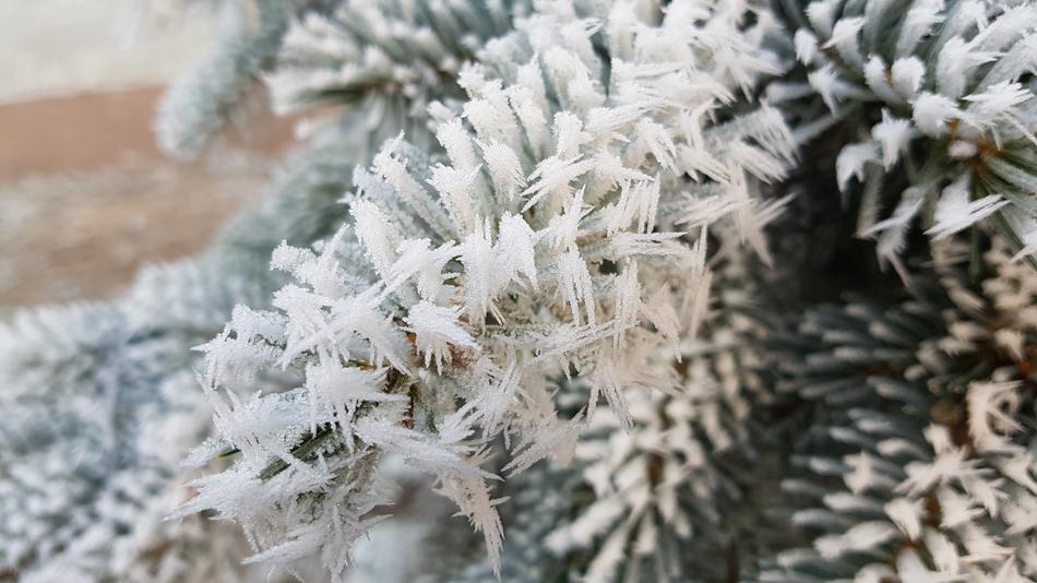 Winter Christmas Advent Snow