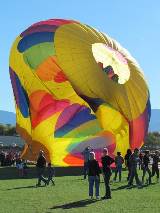 Hot Air Balloon Balloons