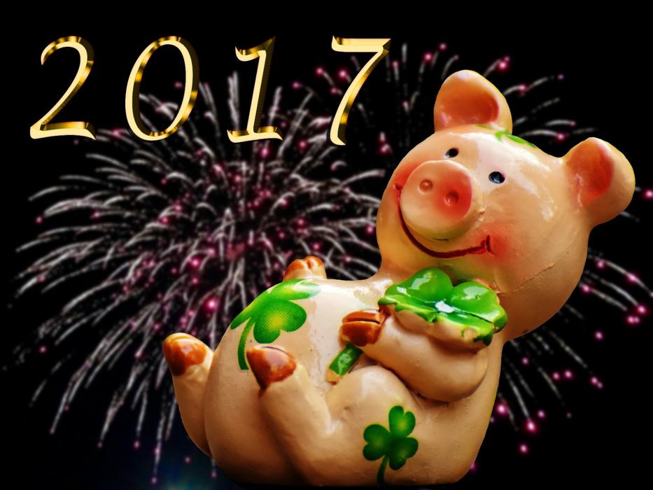 luck piglet lucky pig cute