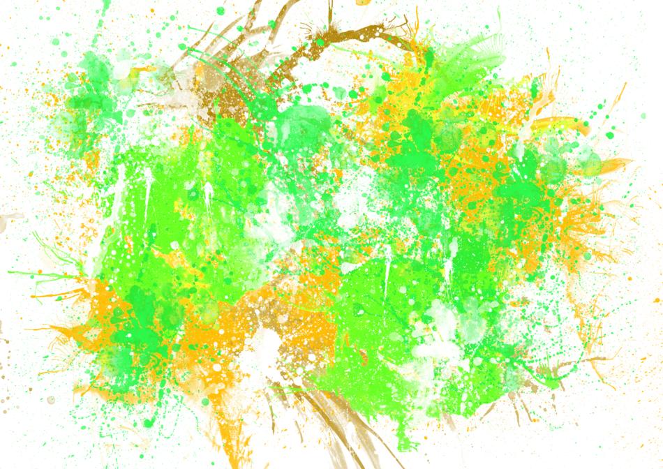 colored paints on a white background