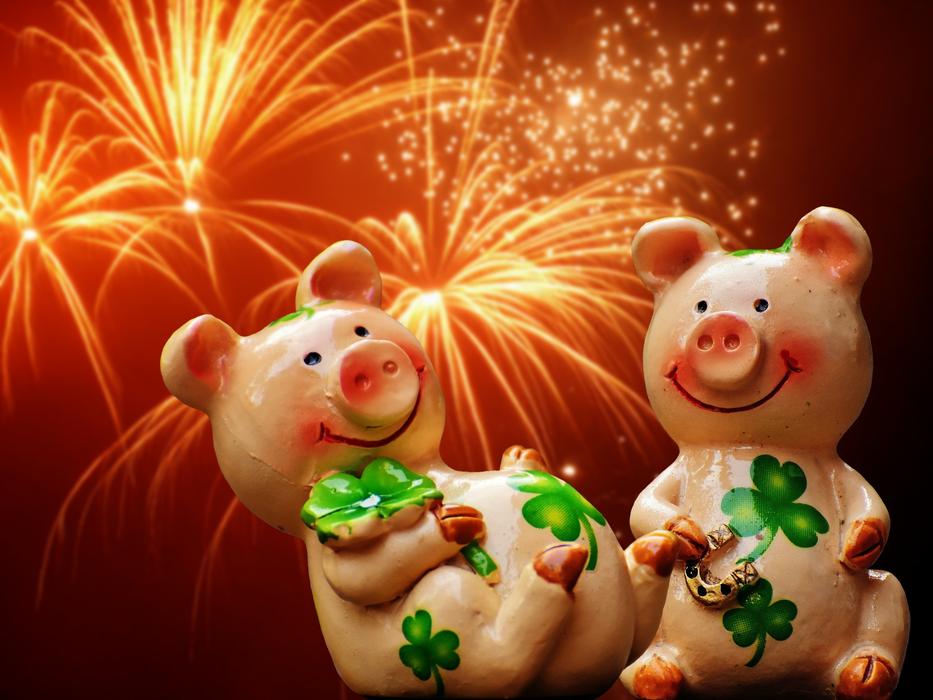 Year of the Pig under fireworks