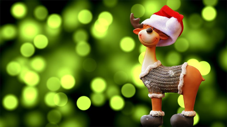 cute christmas reindeer on a green background