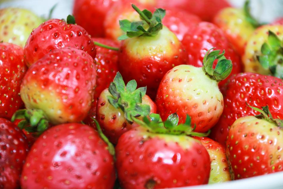 Vegetables Fruit