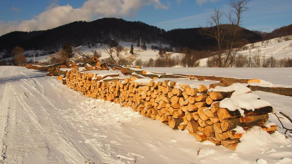 logs by the snow trail