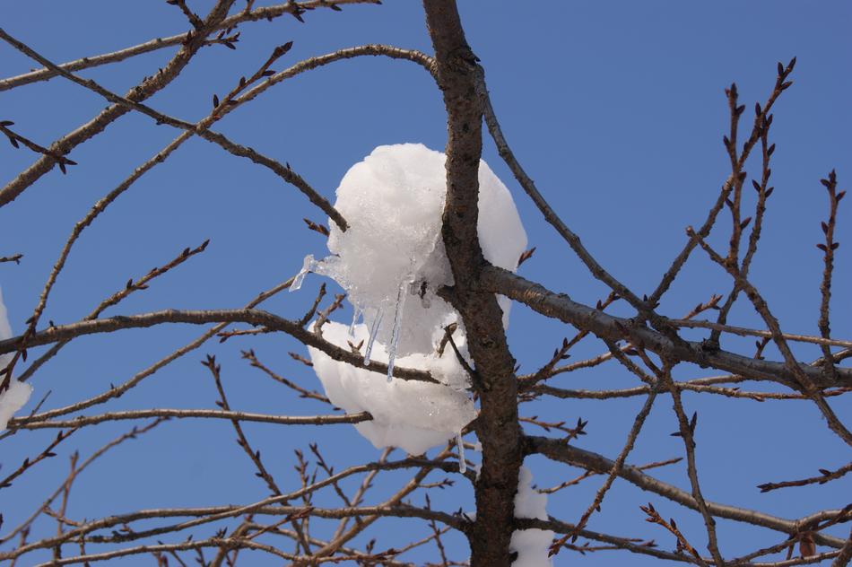 Snow Ice Winter