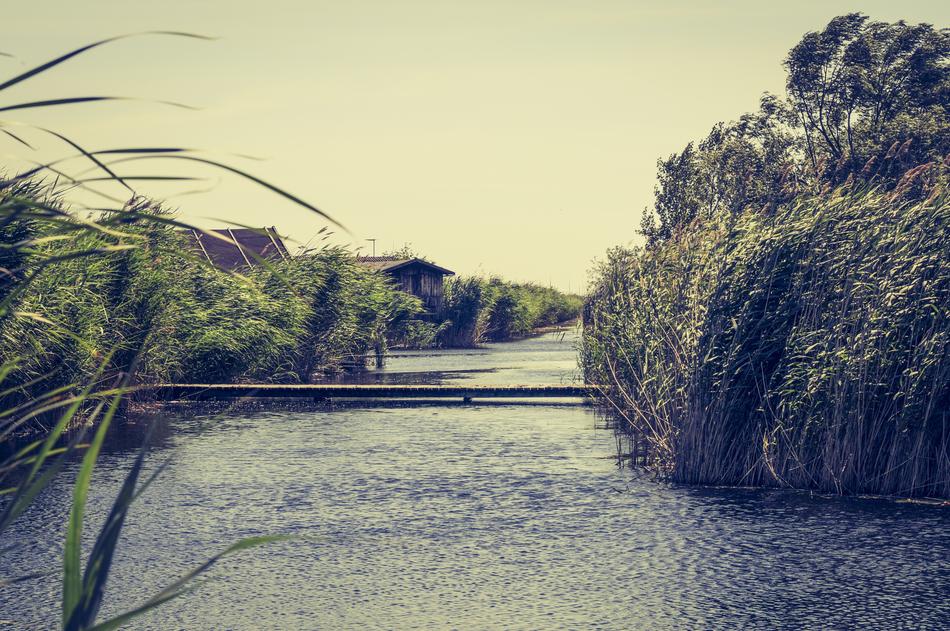 Water Waterway Bridge