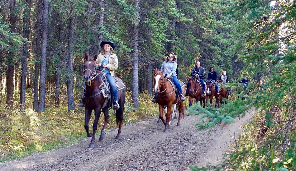 Riding Horses Horse
