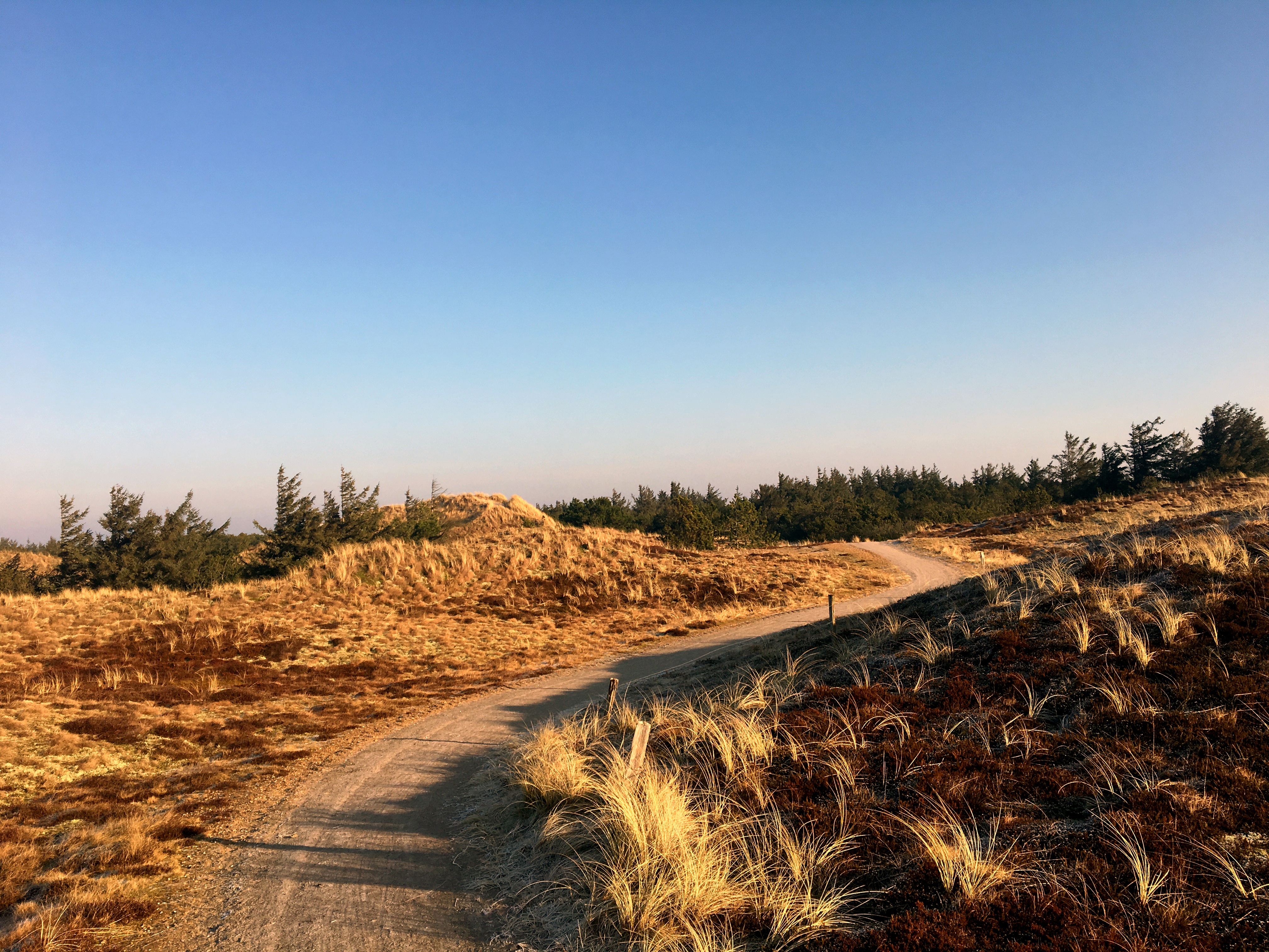 Dry grass road free image download