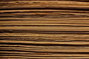 Beautiful, yellow pages of the black book