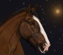 horse portrait digital painting art