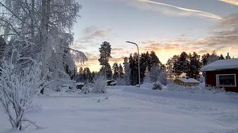 Wintry Lapland Sweden