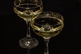 Champagne Glasses