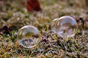 bubbles grass landscape