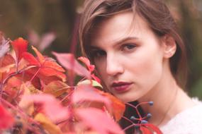 Portrait Girl Young with red flowers on a blurred background