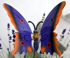 Butterfly Decoration