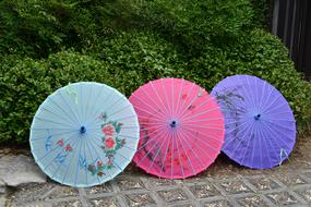 Umbrella China Pieces
