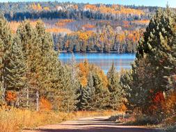 Autumn Road Wilderness