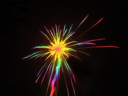 Sylvester Rocket Colorful