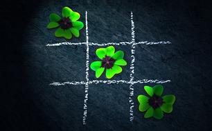 Klee Four Leaf Clover Lucky