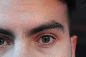 Eye Macro Eyebrow