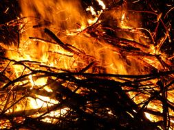 Fire Easter Flame