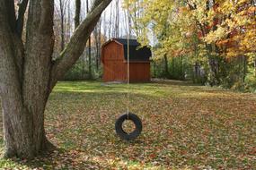 Barn Tire