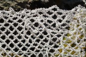 Wire Mesh Fence Hoarfrost