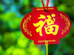 Chinese New Year Blessing