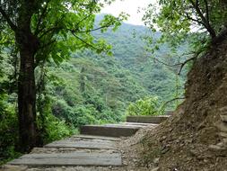 Trail Aoyama Life-Style