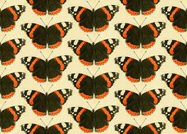 background of moths