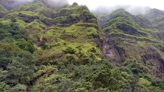 beautiful high green mountain