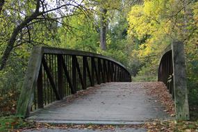 Cornelio Montalbo Bridge Wooden