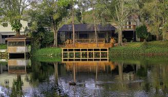 house by the lake with ducks