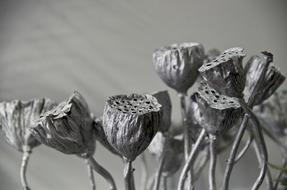 Lotus Root Silver Ornament