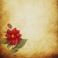 red flower on paper background scrapbooking