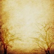 scrapbooking paper as a background