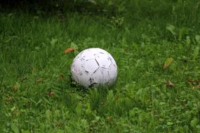 Football Ball Grass