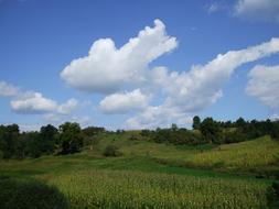 Field Rural