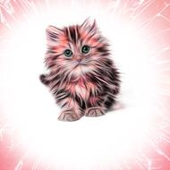 painted pink kitten as an illustration