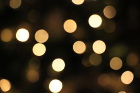 bokeh background for christmas