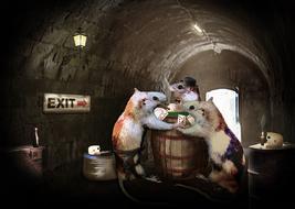 rat playing card barrel candlelight