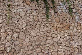 Wall Stones