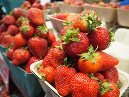 Strawberries Marche
