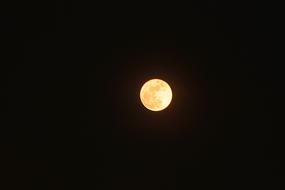 yellow bright moon in the night darkness