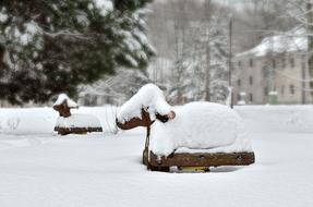 Snow Sheep Ground Game