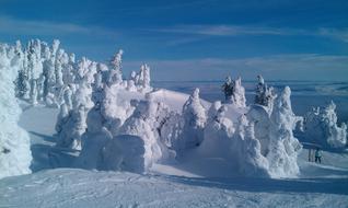Canada Snow Skiing British columbia