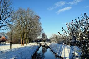 Winter Bach Tree