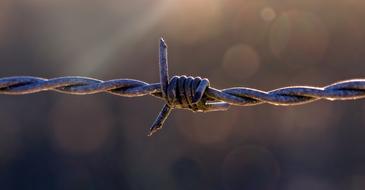 Pasture Fence Barbed Wire Fencing