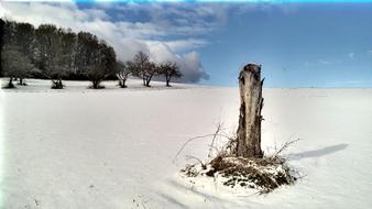 Winter Snow Schneelanschaft