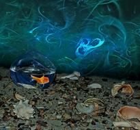 goldfish aquarium sand seashells